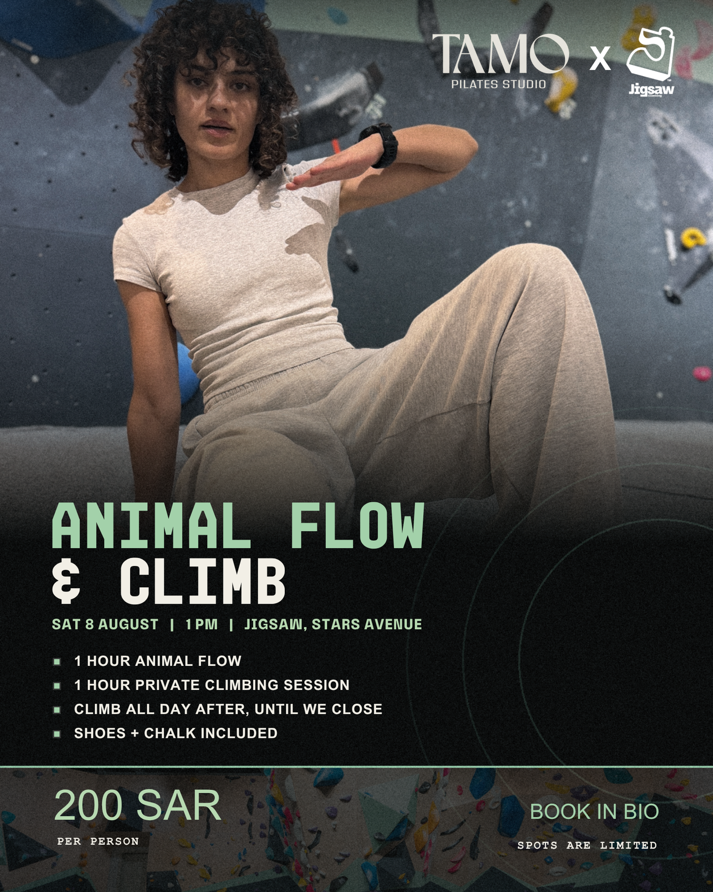 Animal Flow and Climb